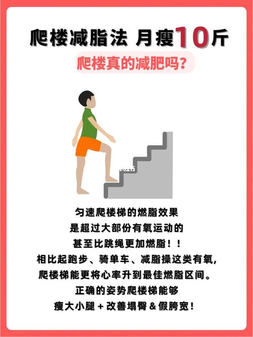 如何爬楼梯做空腹有氧锻炼_空腹有氧爬楼梯怎么爬